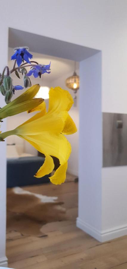 Old Town Apartment بوزنان المظهر الخارجي الصورة